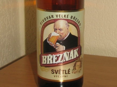 Уроки чешского (Breznak Svetle)
