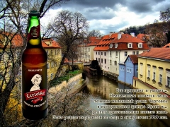 Новое чешское пиво в Росии