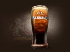 20 июля дегустация пива Bernard в пабе SeanO’Neill!