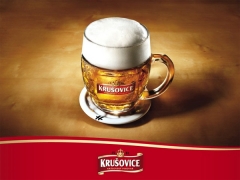Пиво Krusovice начали варить в Петербурге