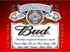 Разливное пиво Bud в ресторане «Бургомистр»