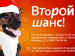 Акция «Подари собакам новый год!»